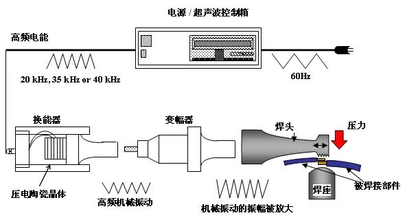 1000.webp (1).jpg